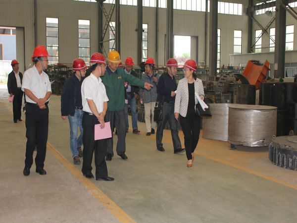 Liu Yubin county chief visited the company for guidance