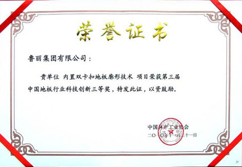 中国地板行业科技创新三等奖