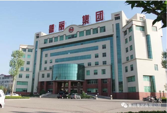 12家企业入选潍坊市行业龙头企业群——鲁丽集团榜上有名