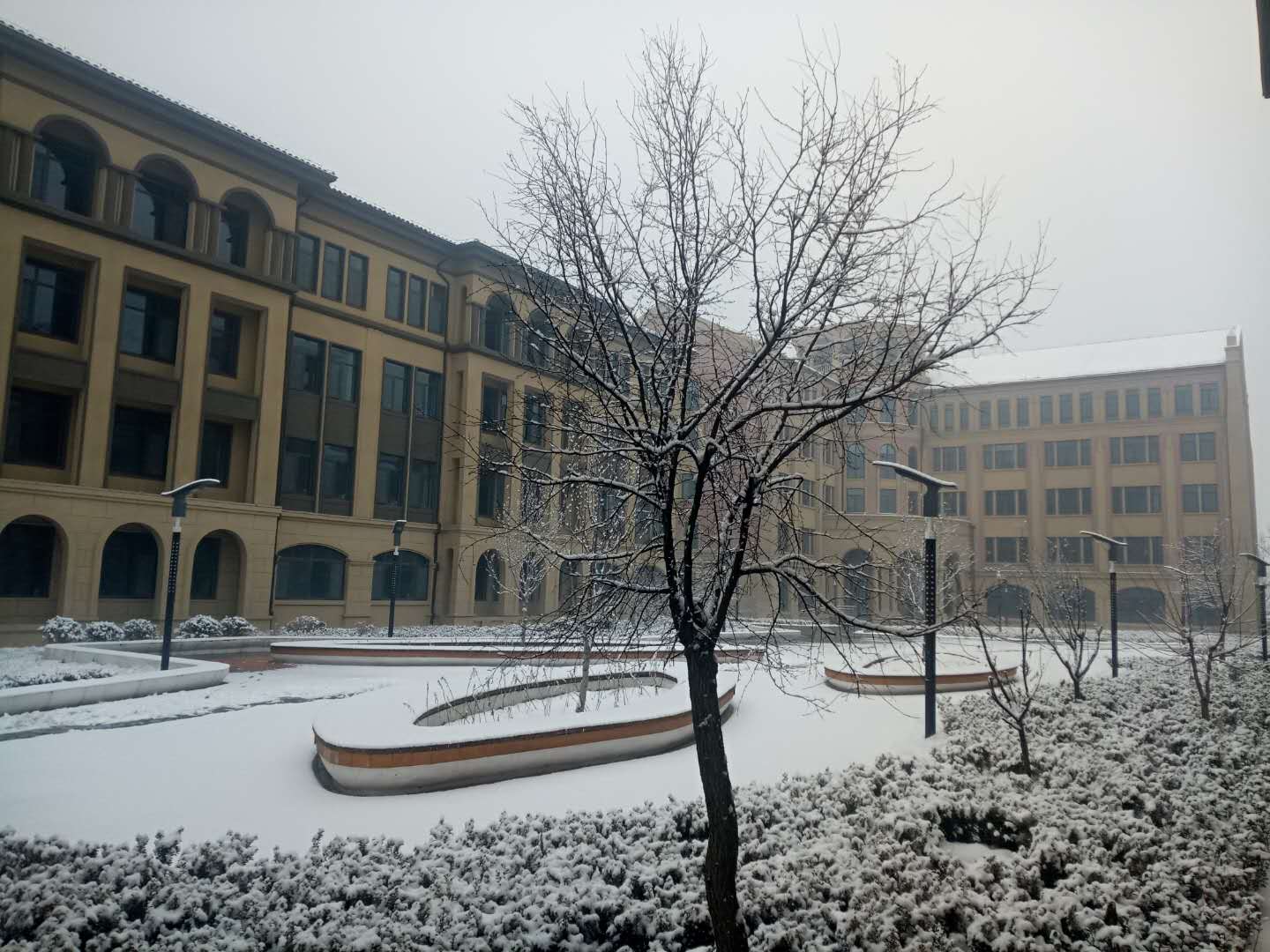 北大公学雪景